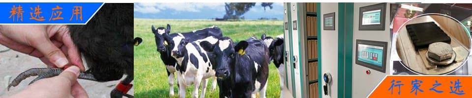 RFID解決方案|畜牧業(yè)動(dòng)物管理/資產(chǎn)管理/無(wú)源測(cè)溫/寵物管理 - 上海營(yíng)信-RFID技術(shù)專家